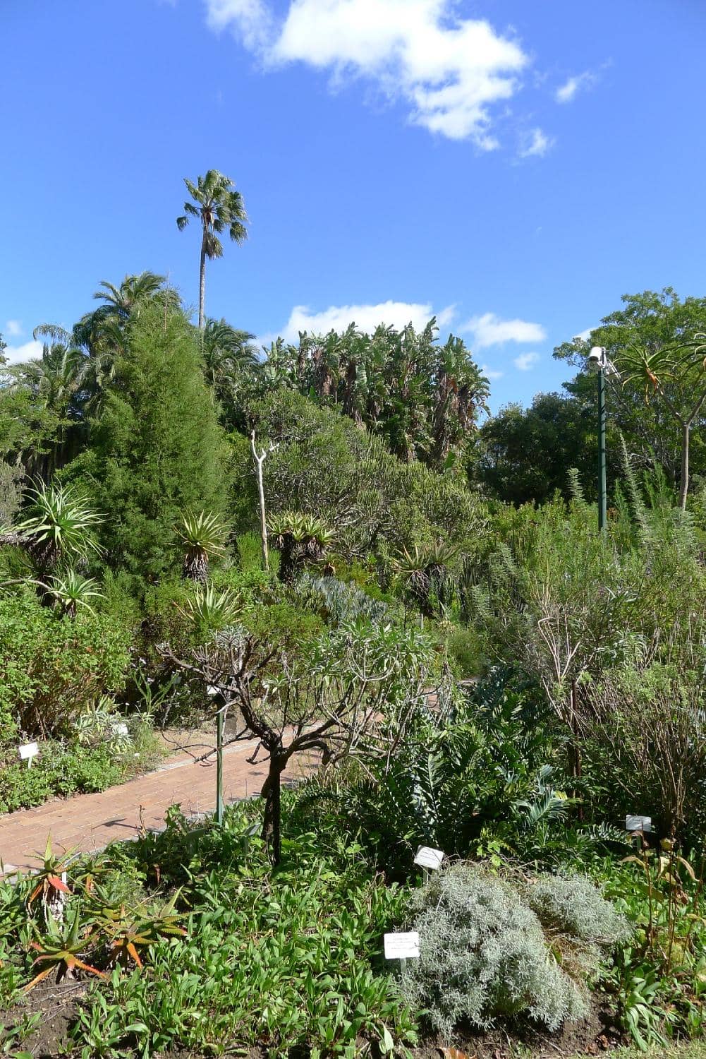 Bonsai Sanctuary