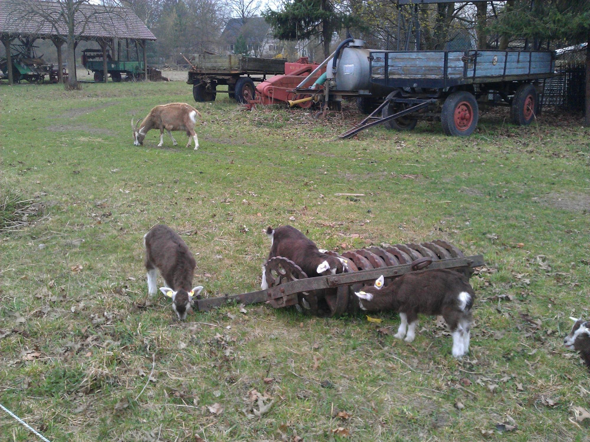 Blacksmith's Workshop