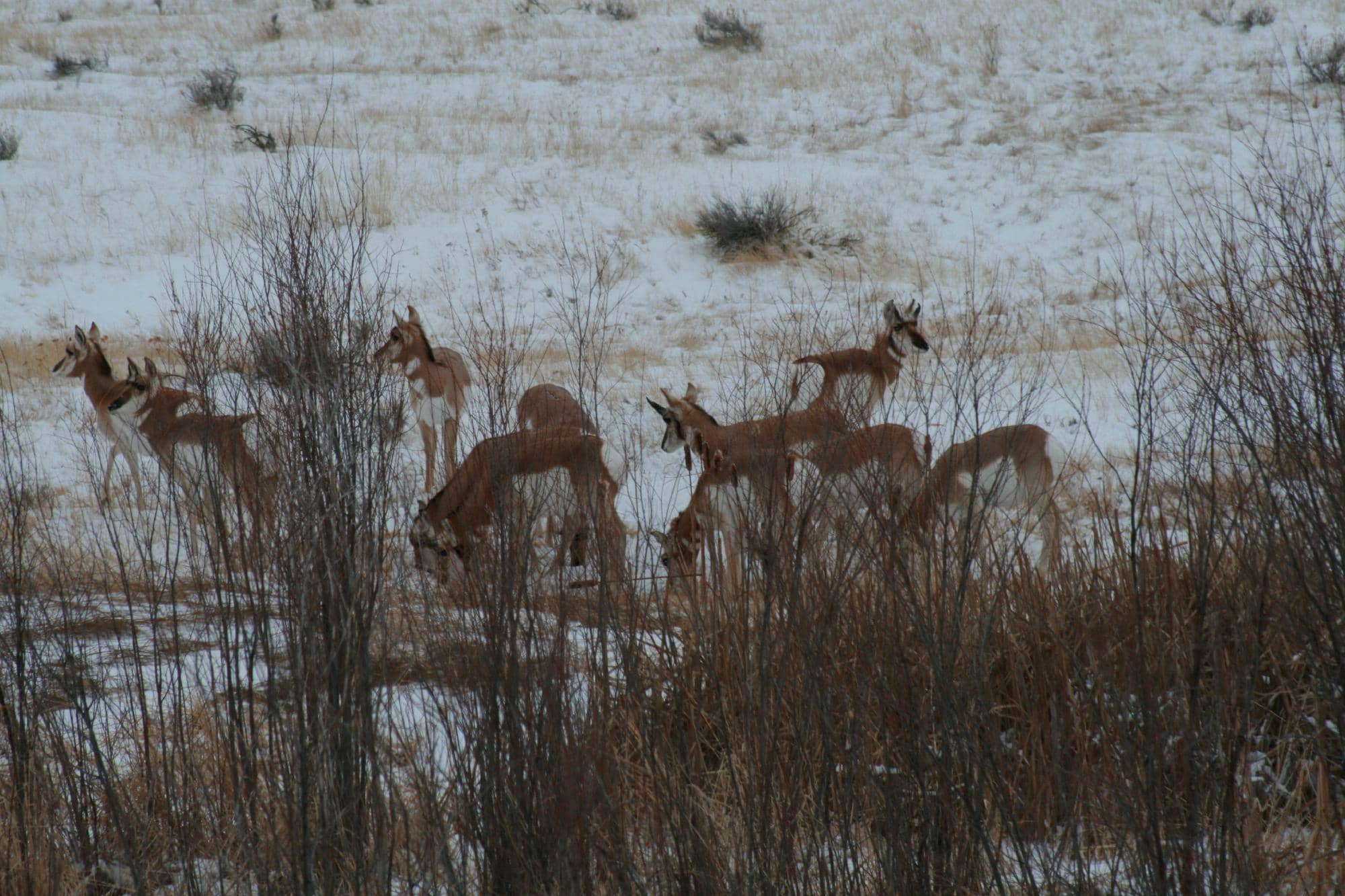 Historic Hand-Operated Drain