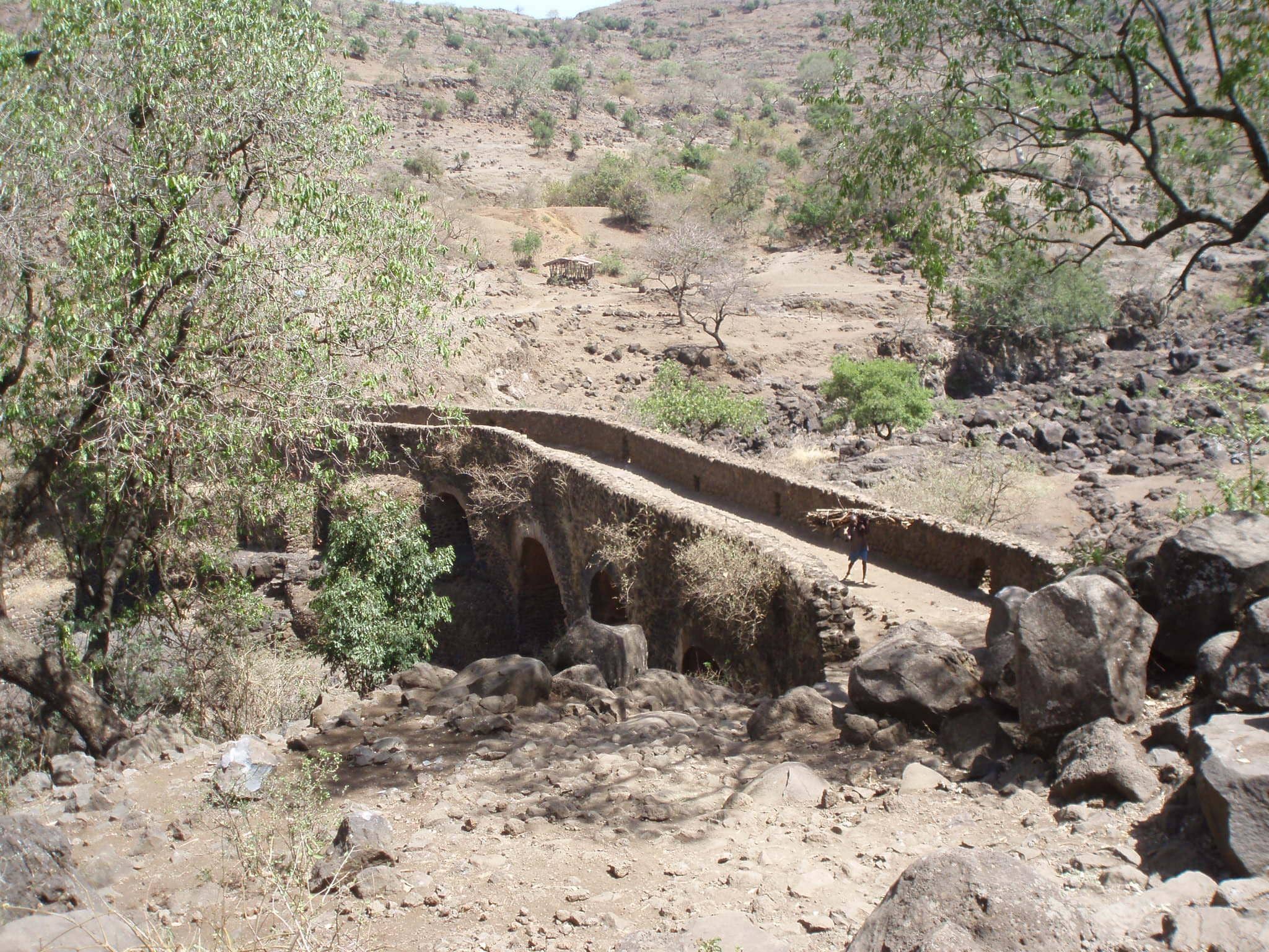 Well-Maintained Gardens