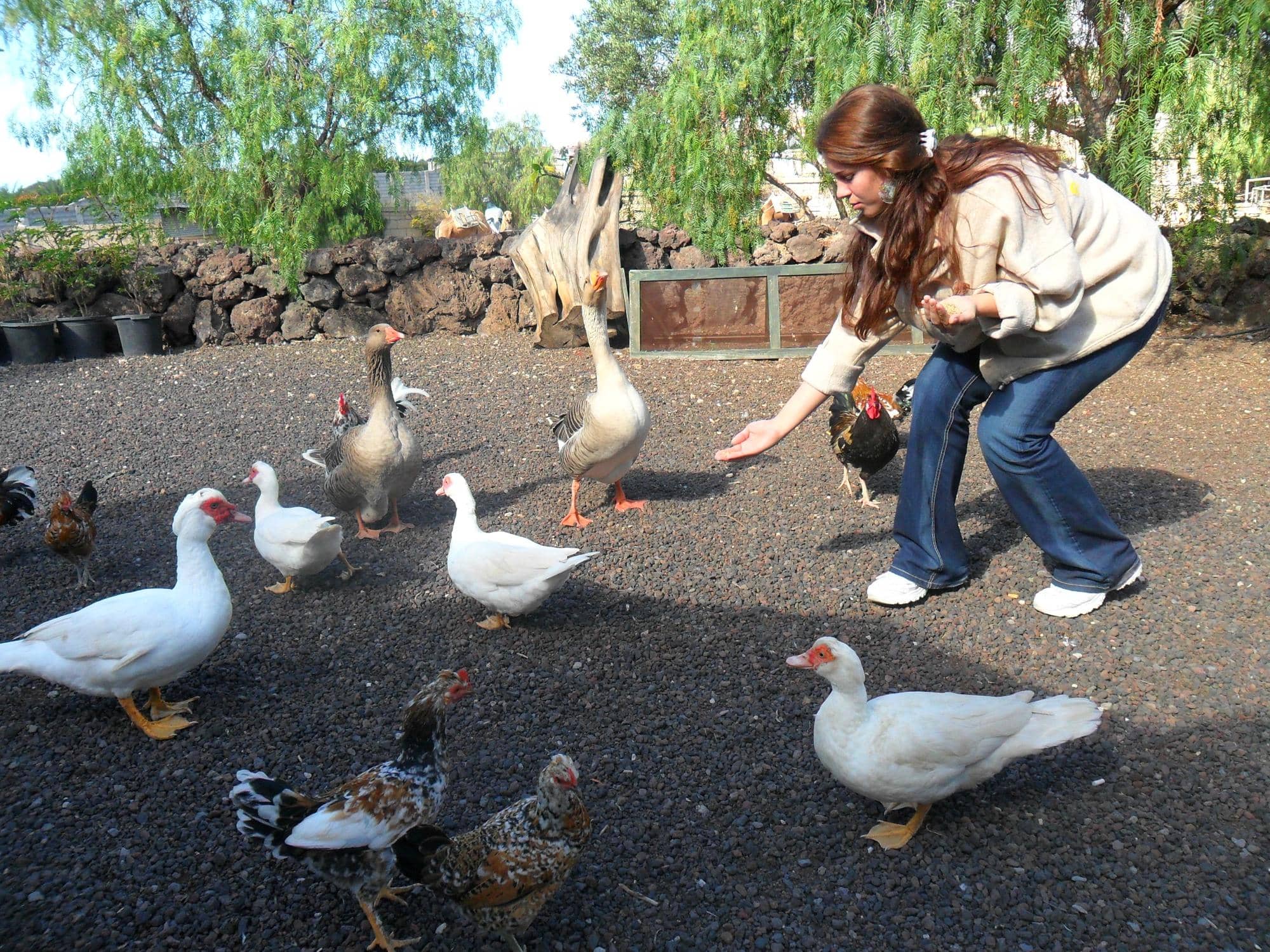 Camel Riding Adventure