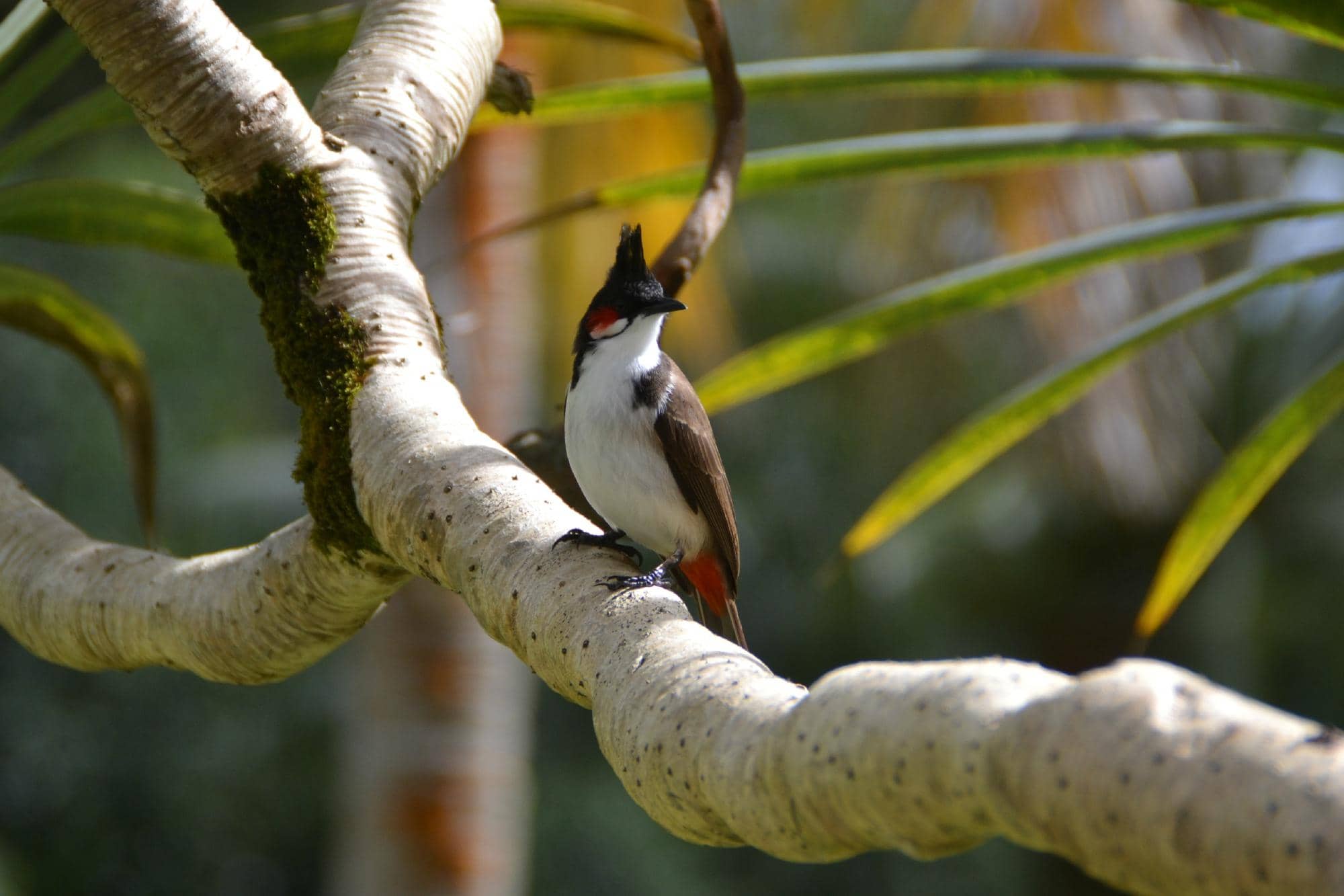 Quad Biking Adventure