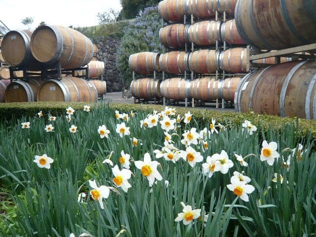 Personalized Tastings