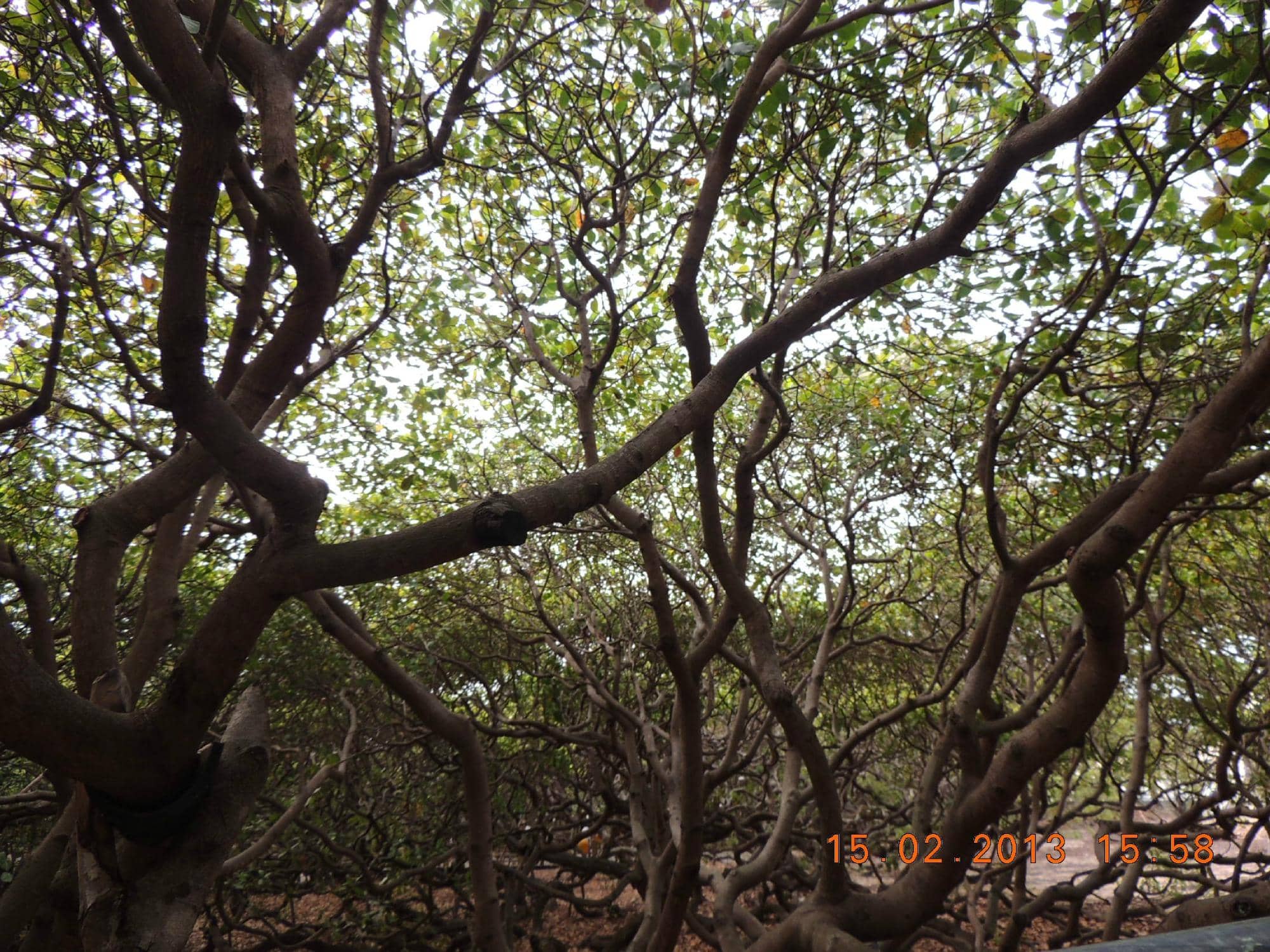 Vertical photo