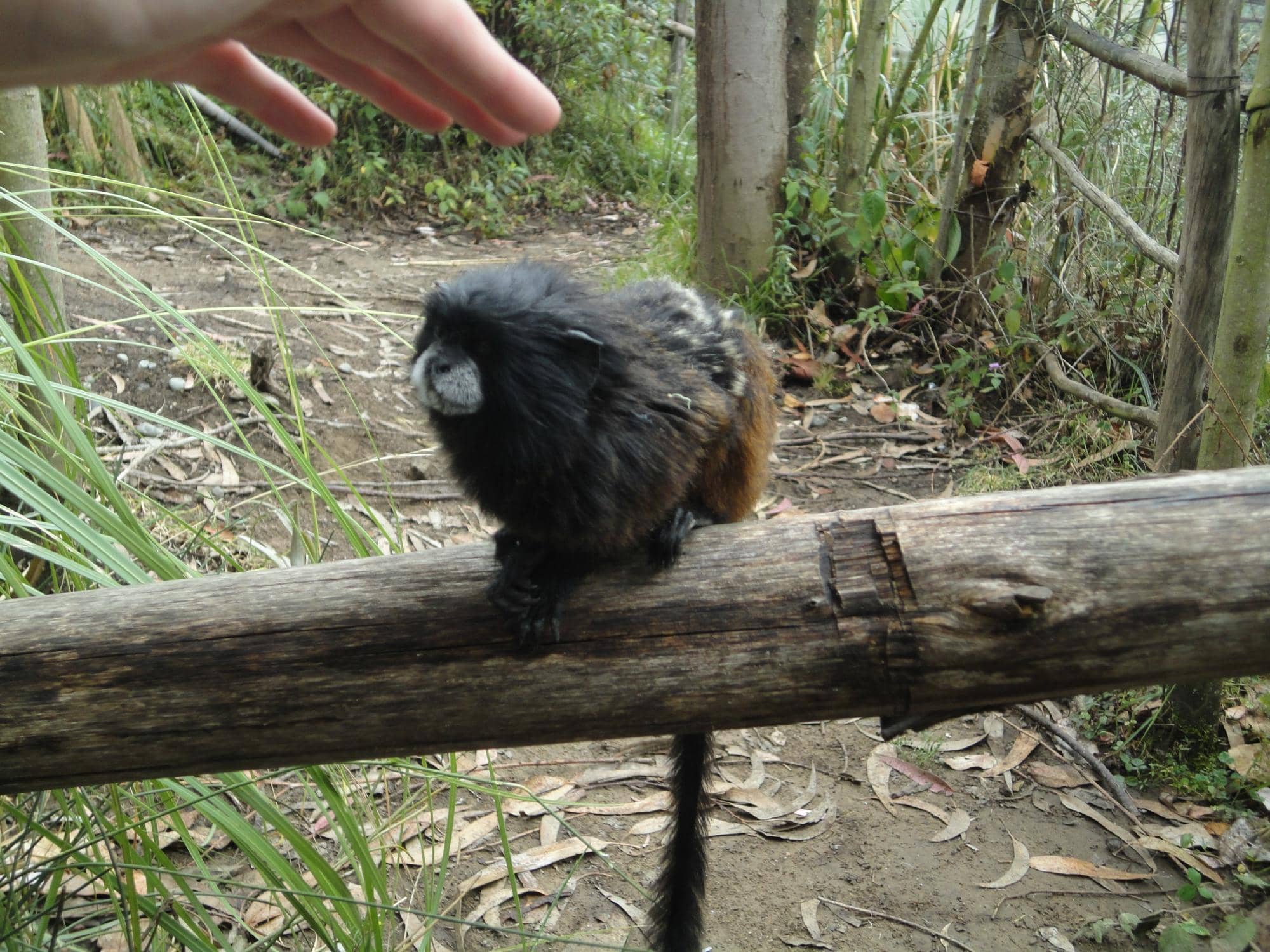 Diverse Animal Habitats