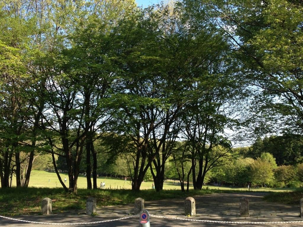 Architectural Design