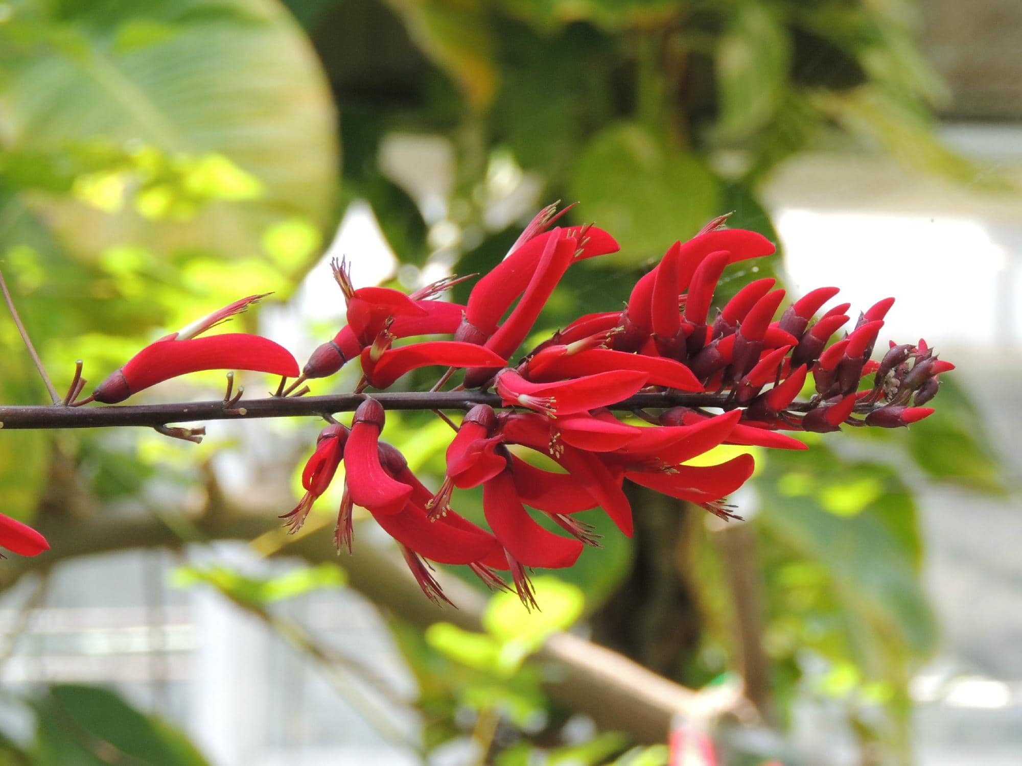 Mini Zoo & Botanical Garden