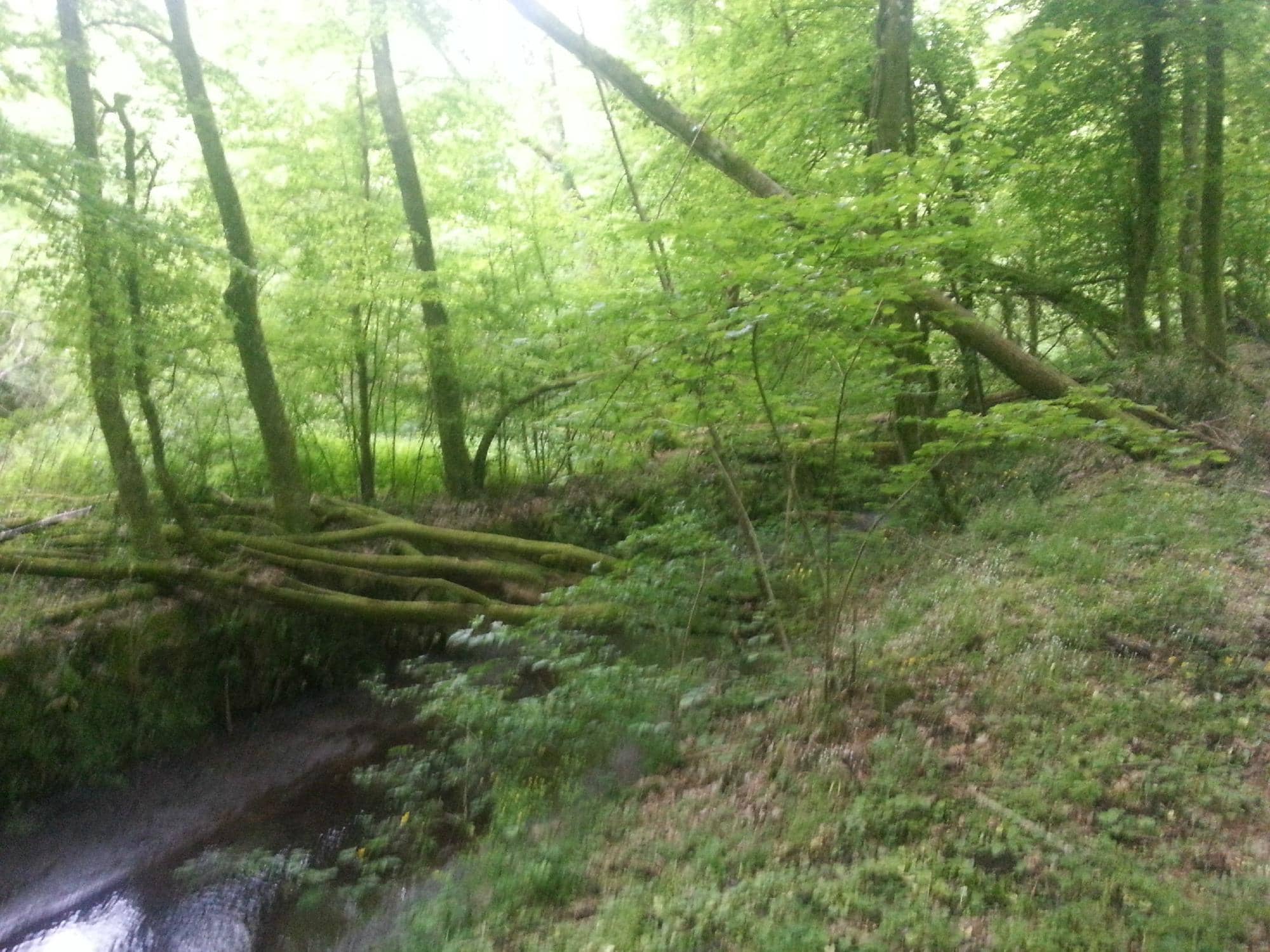 Mignone River Waterfall