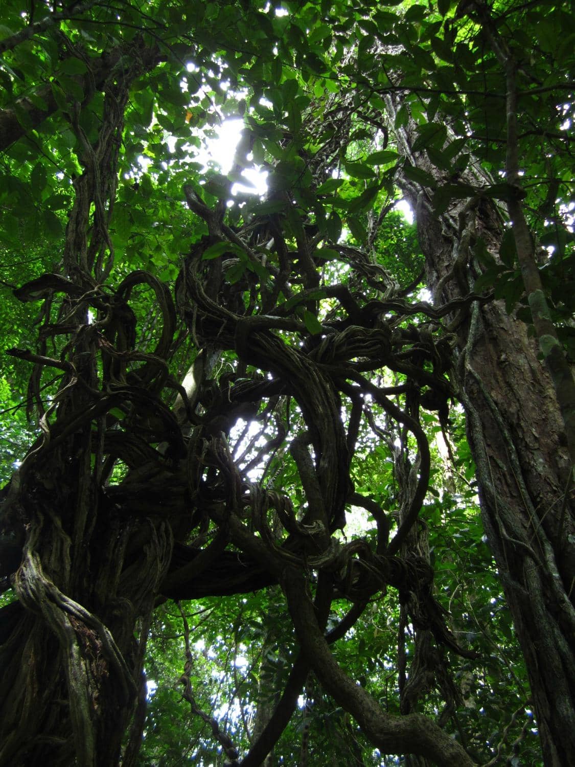 Leoval Waterfall Hike