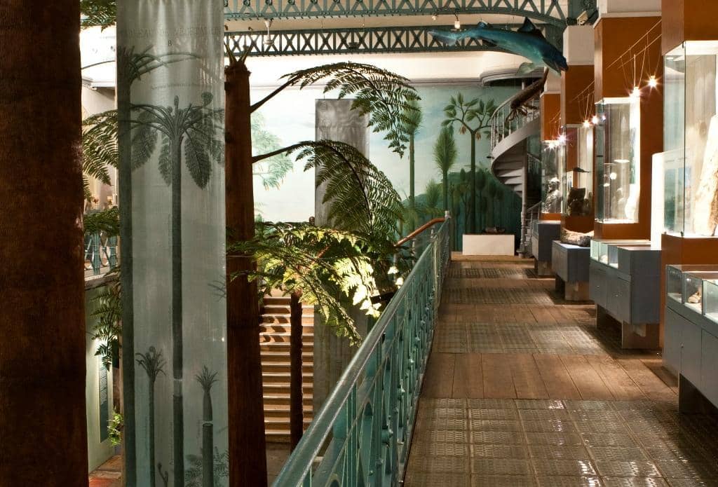 Impressive Zoological Collection