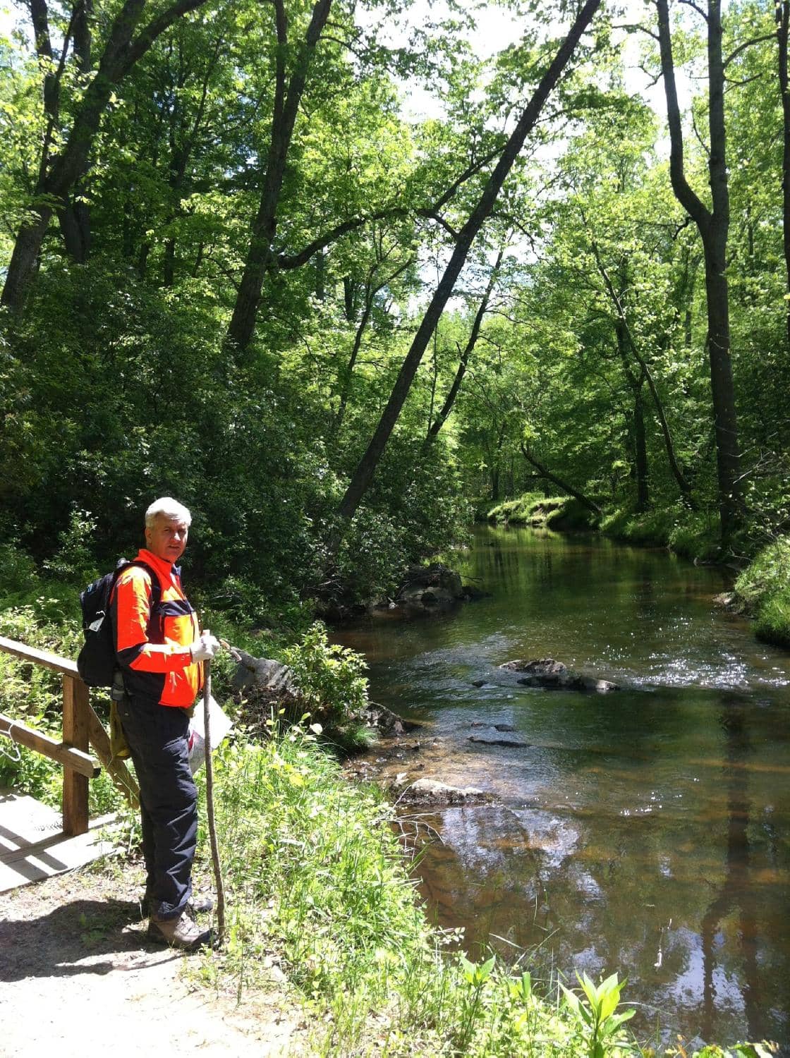 Quantico Creek Cascades