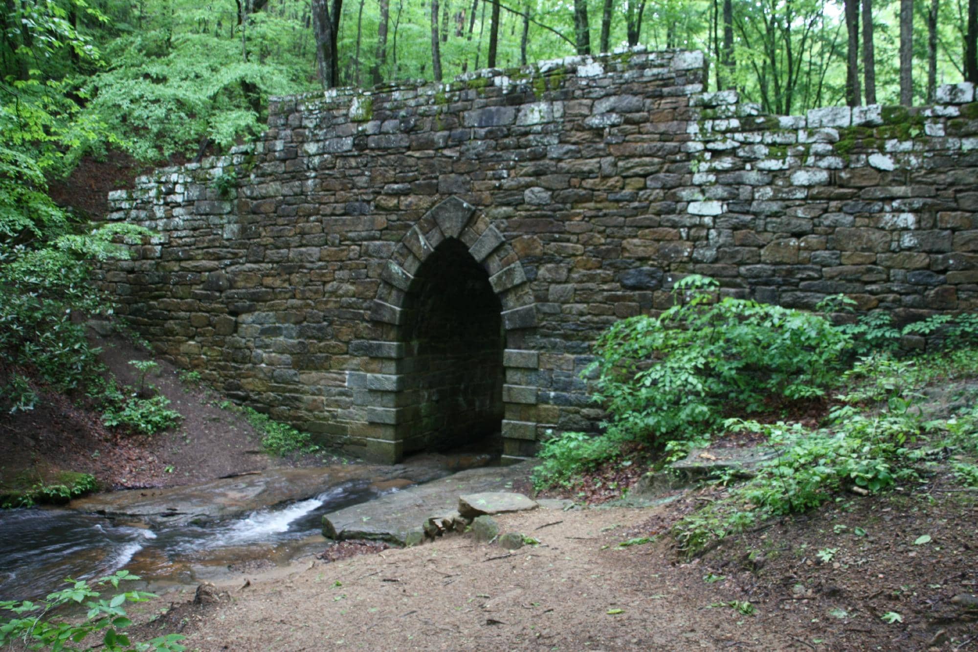 Wooded Natural Setting