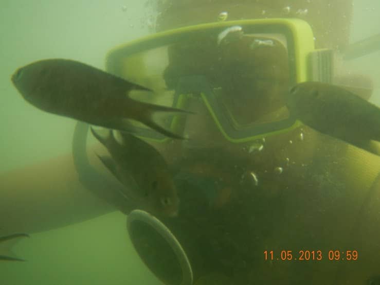 Artificial Reef Modules