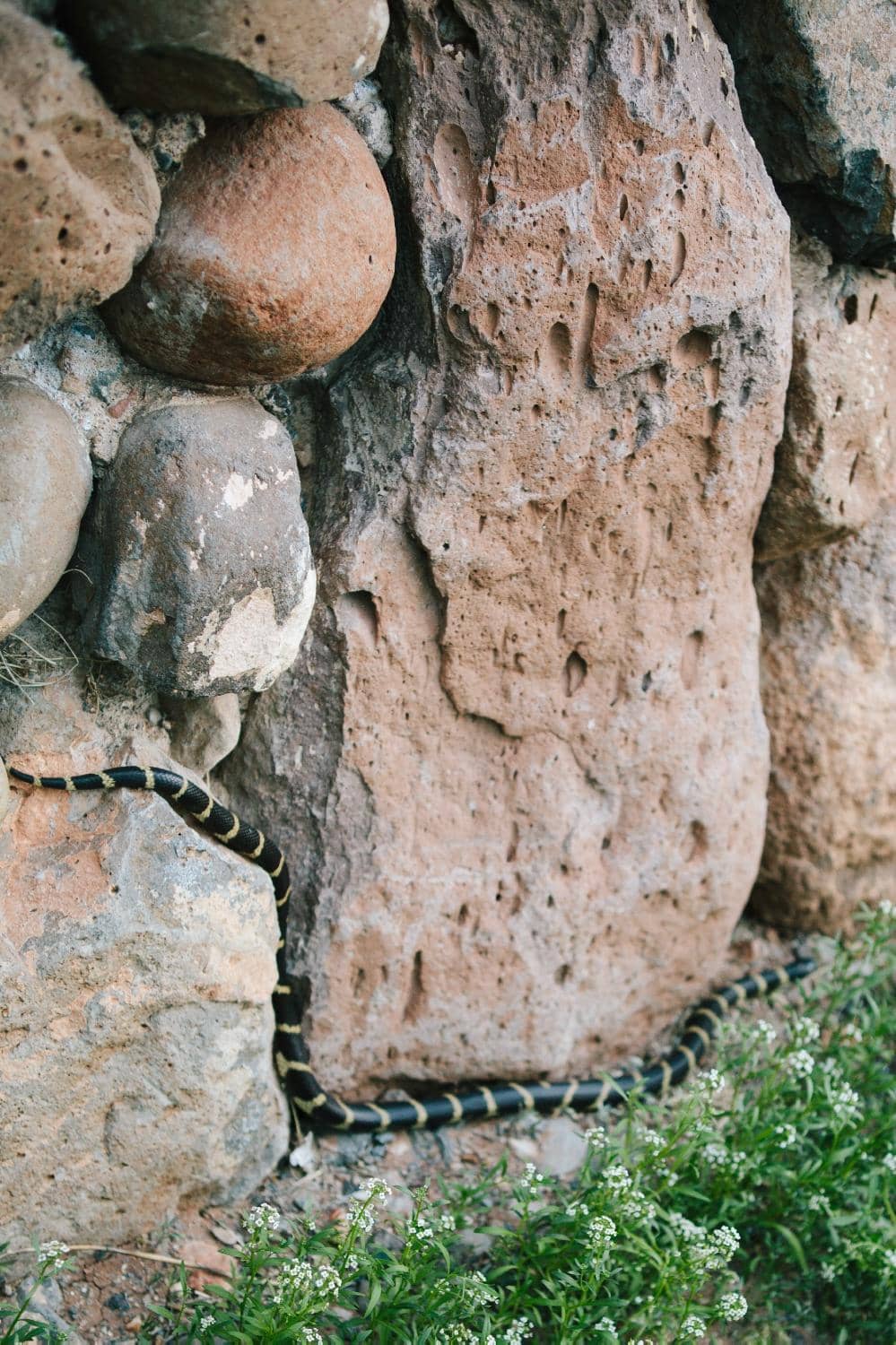 Bistro Bites & Pizzas