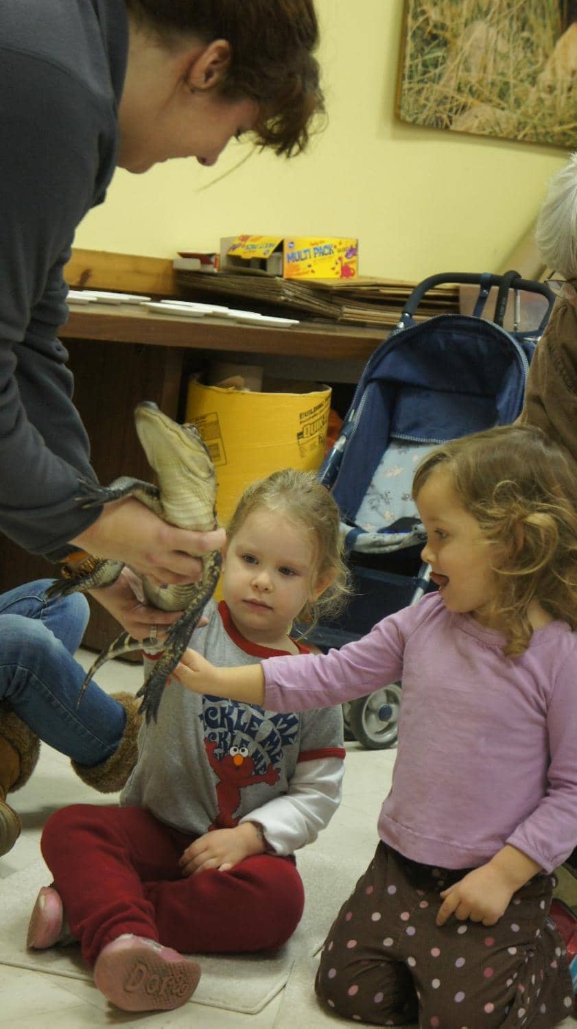 Australian Walkabout