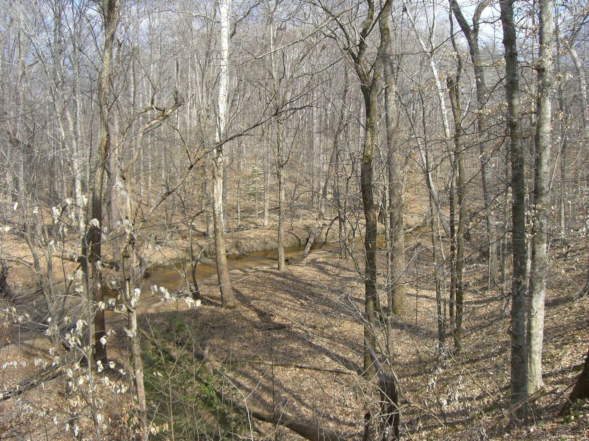 Bright Hope Butterfly Garden