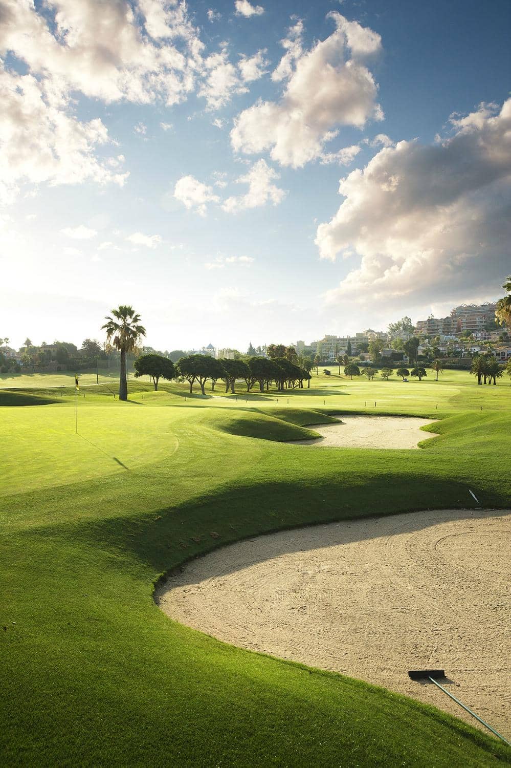 The 5th Hole Challenge