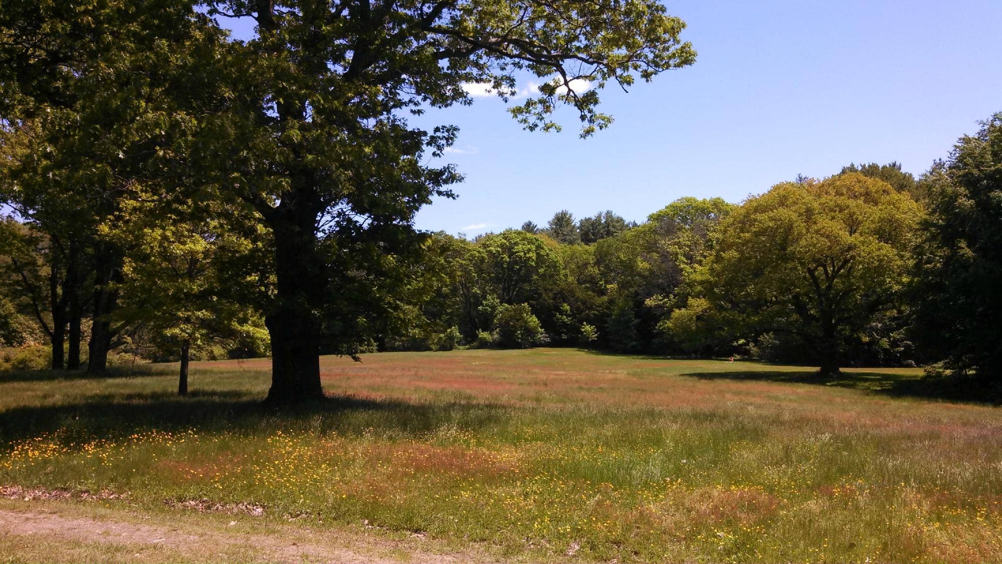 Historic Estate Grounds
