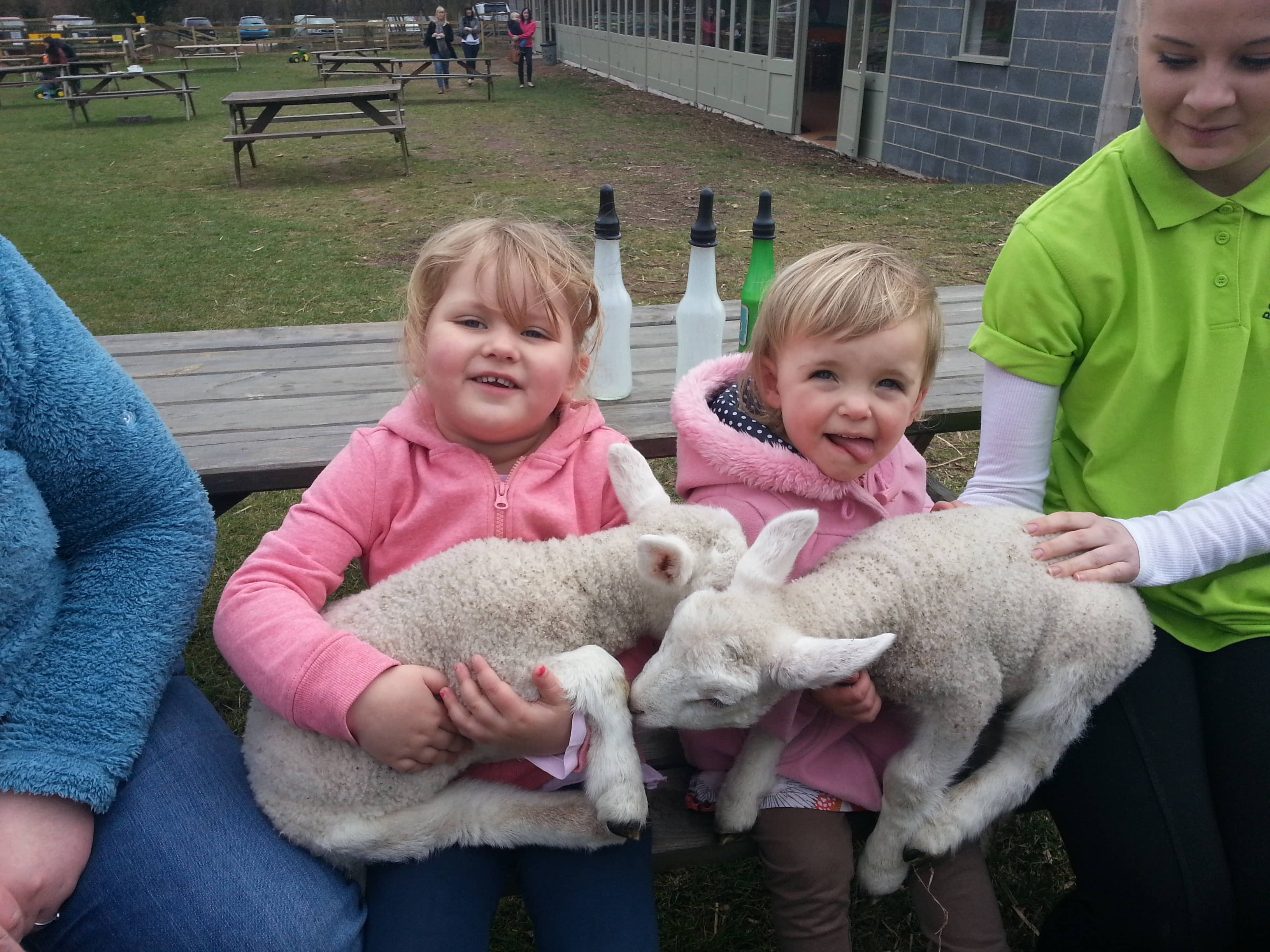 Adorable Animal Encounters