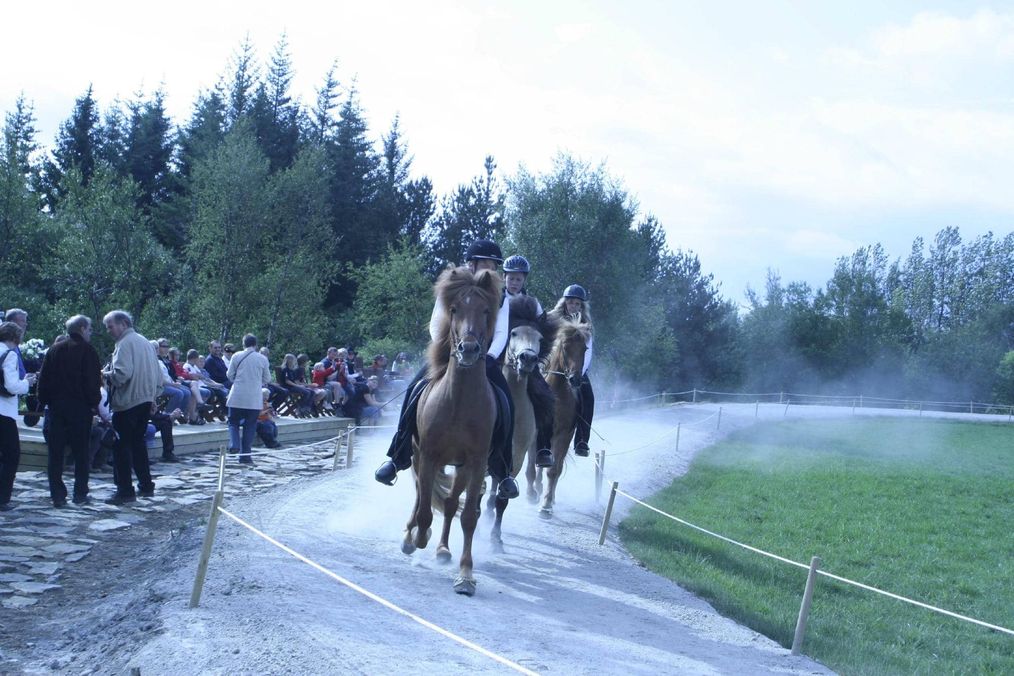 Tomato Beer & Wine Bar