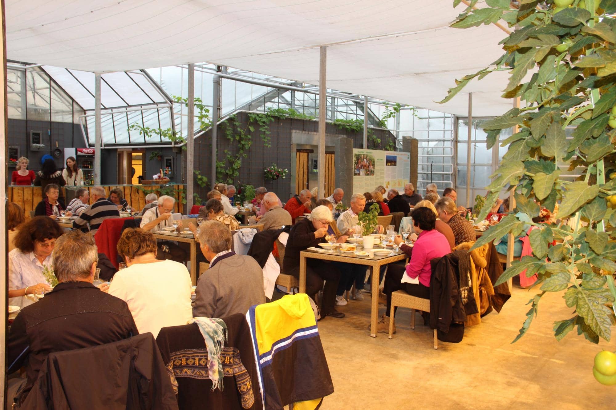 Greenhouse Dining Ambiance