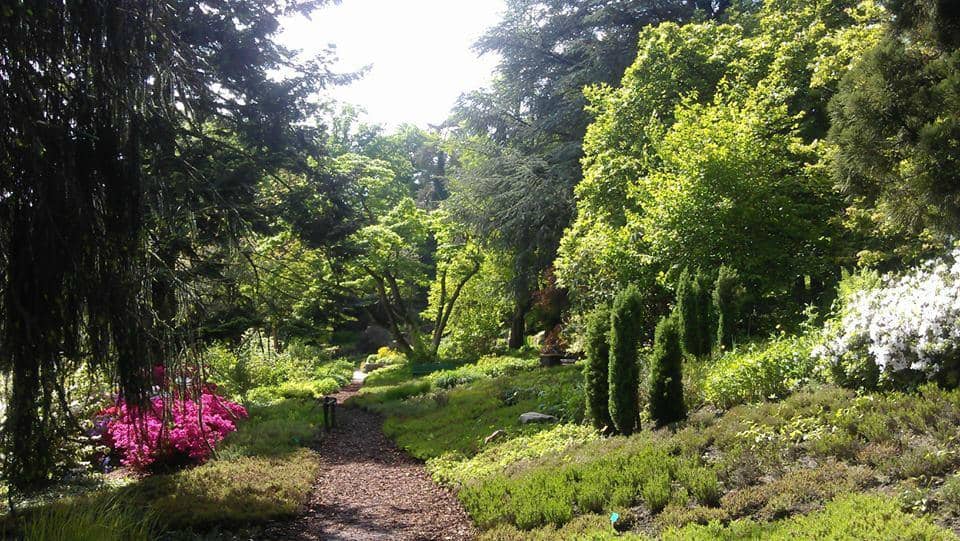 Heather & Alpine Gardens