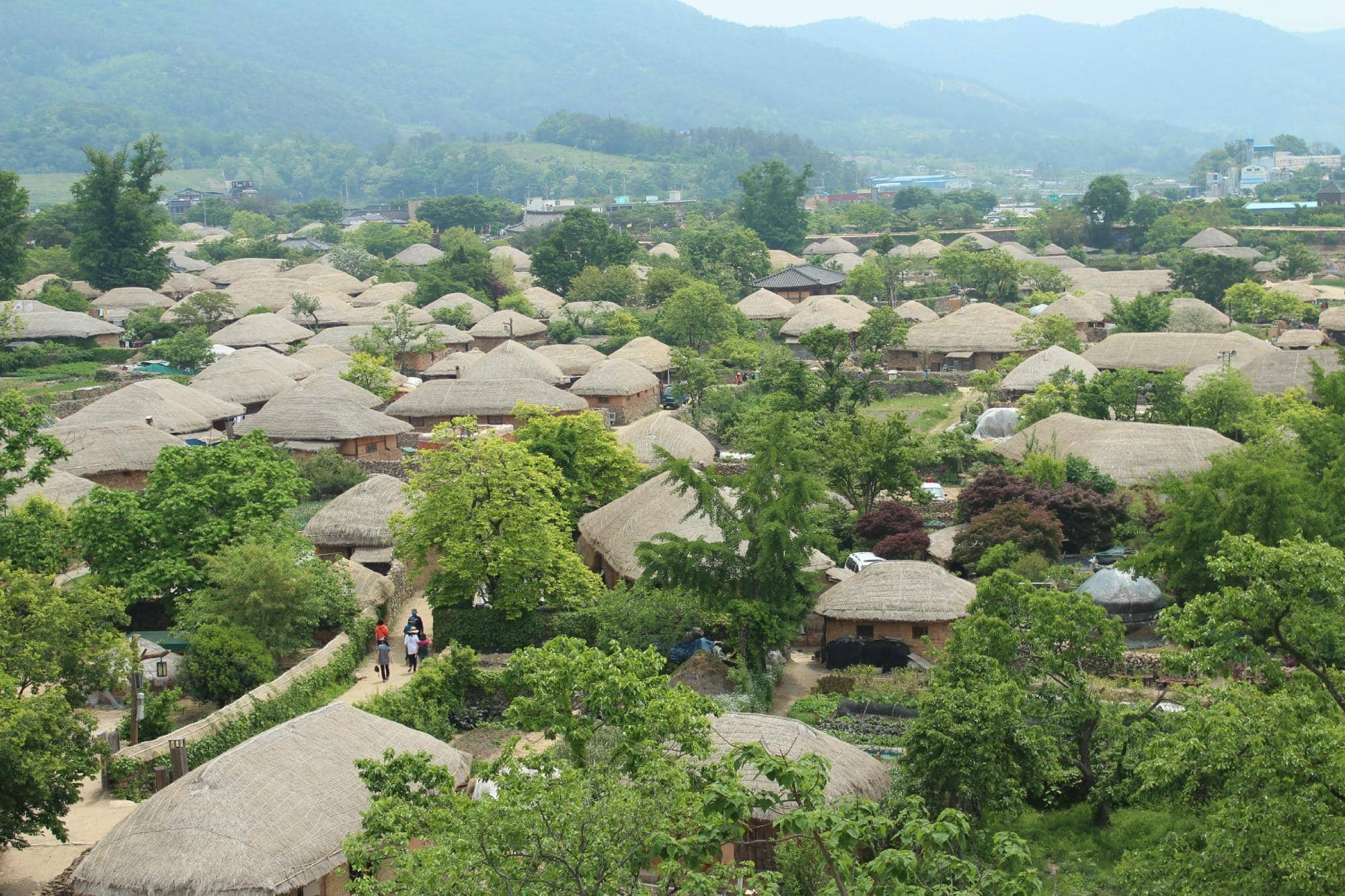 Thatched-Roof Houses