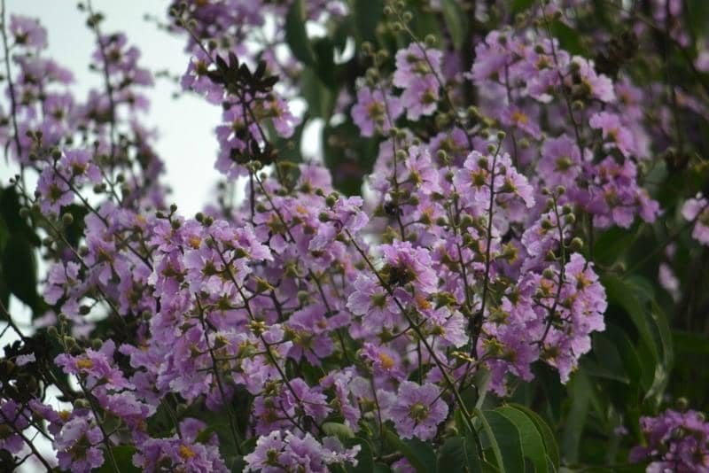 Children's Play Area
