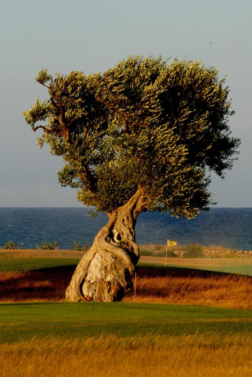 Challenging 18 Holes