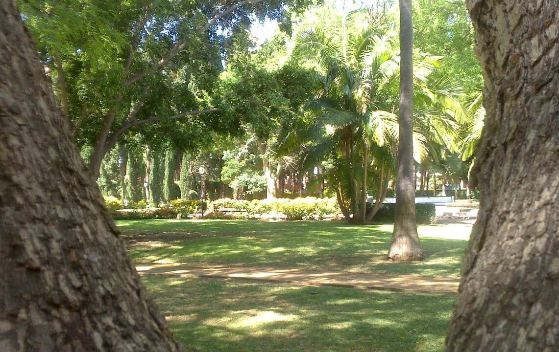 Amphitheater