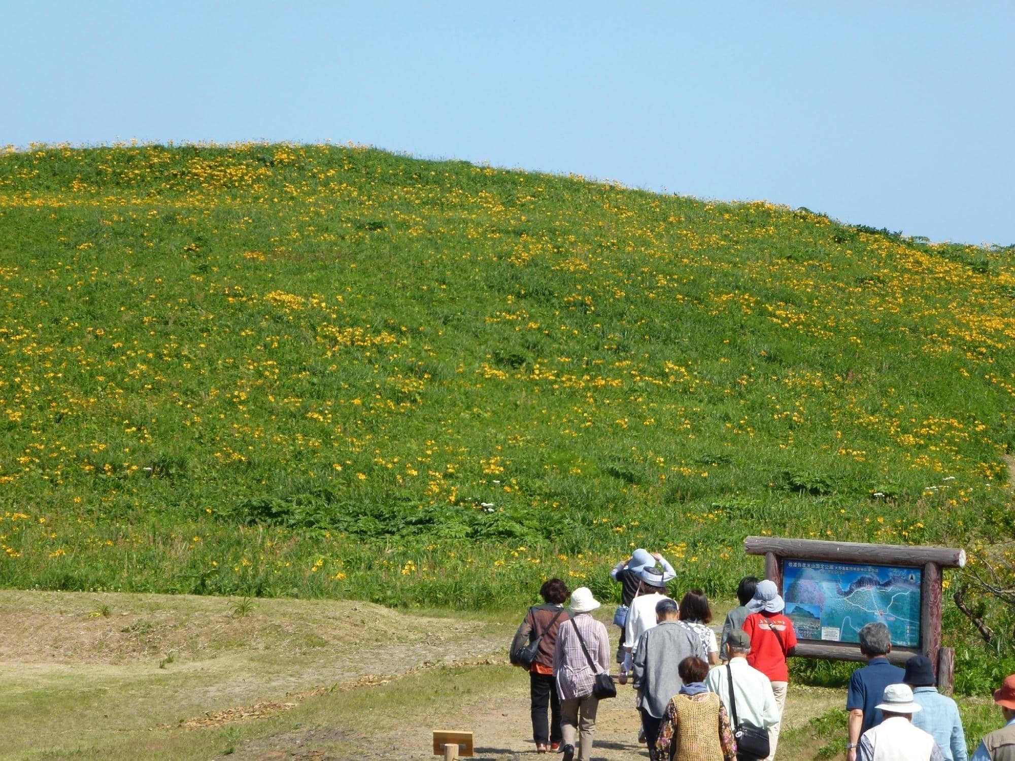 Unique Coastal Rock Formations