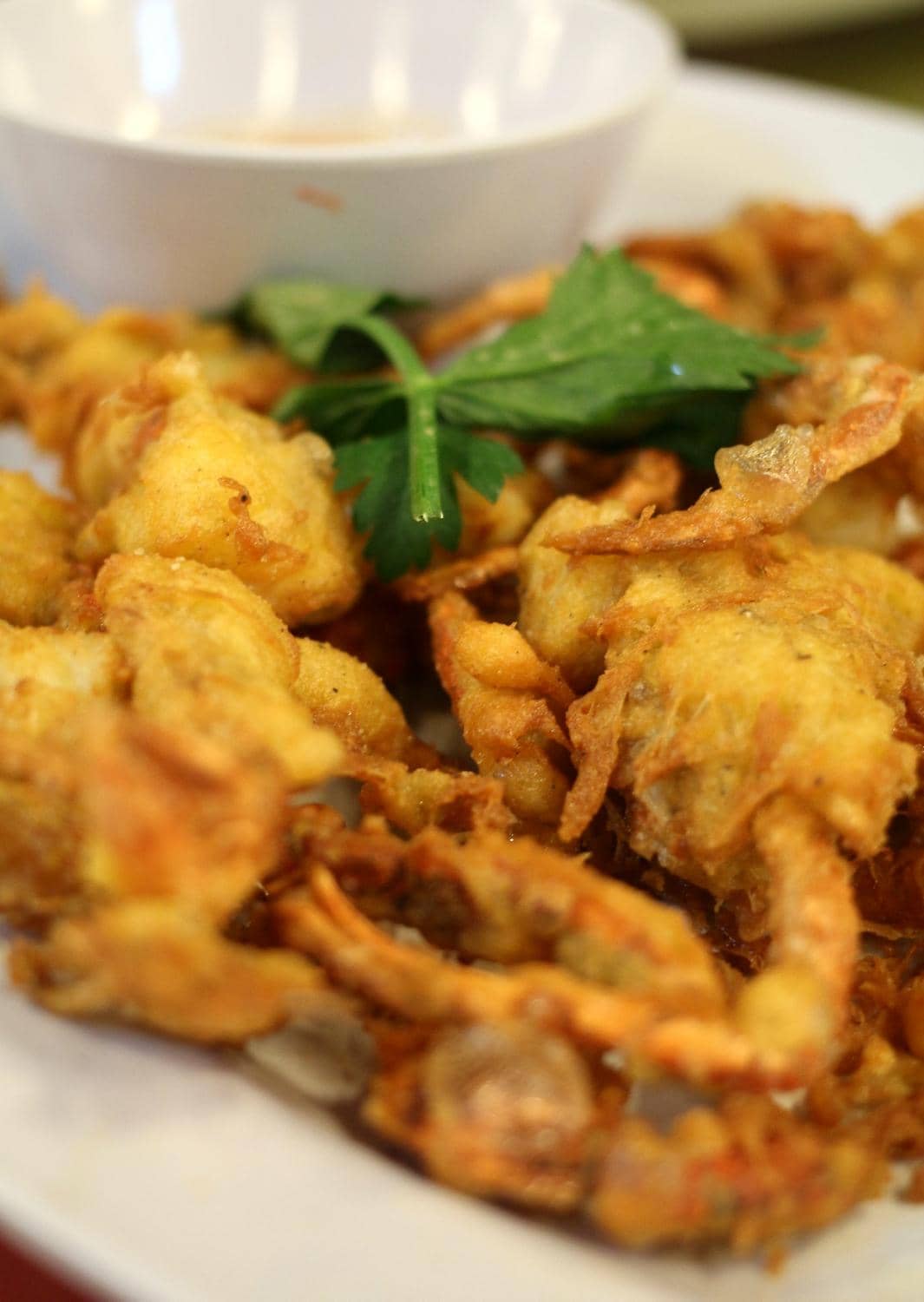 Lively, Bustling Atmosphere