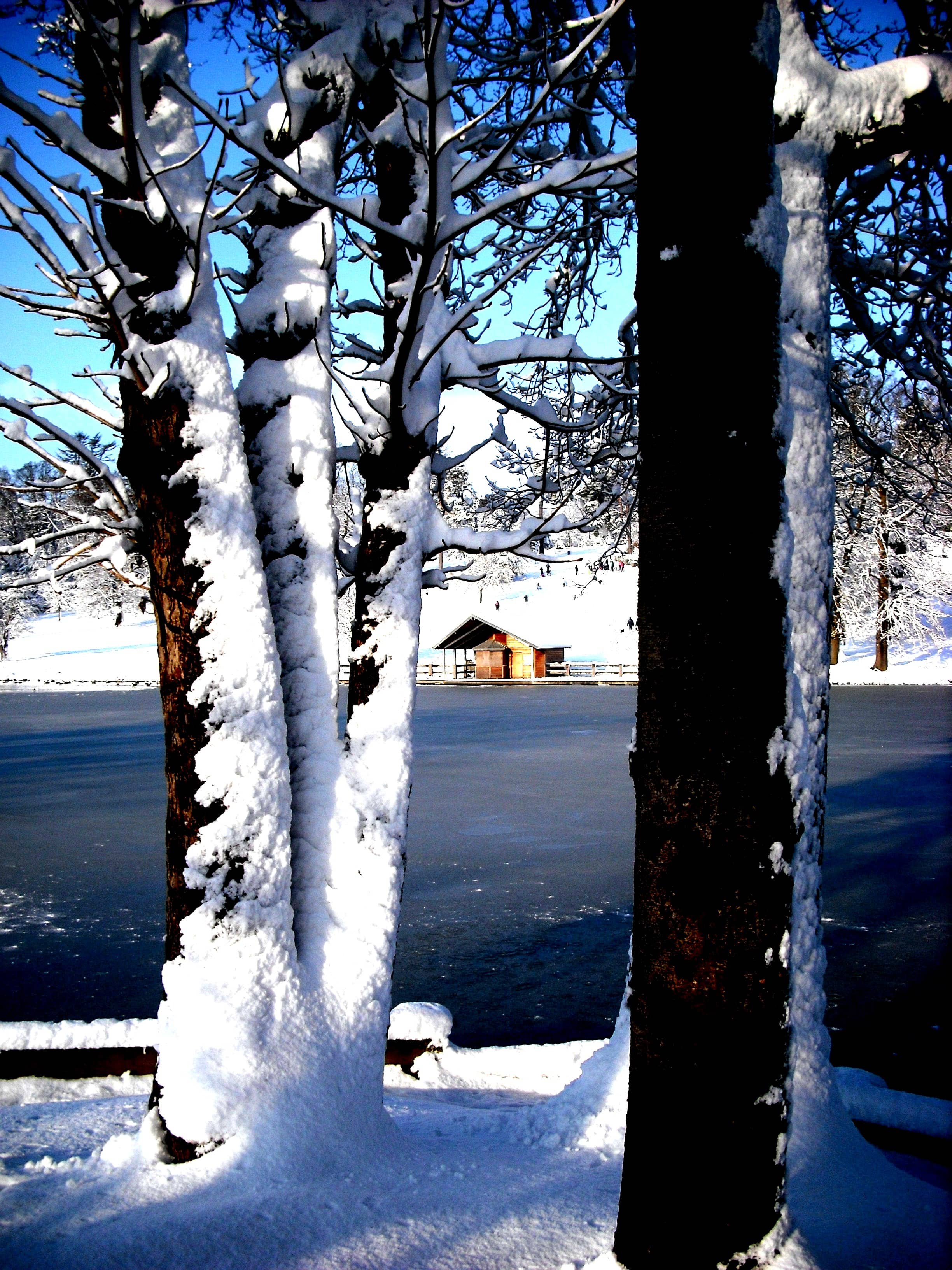Grecian Temple Views