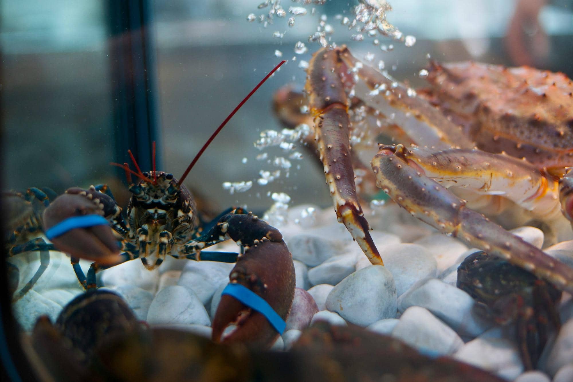 Artisan Cheese & Charcuterie