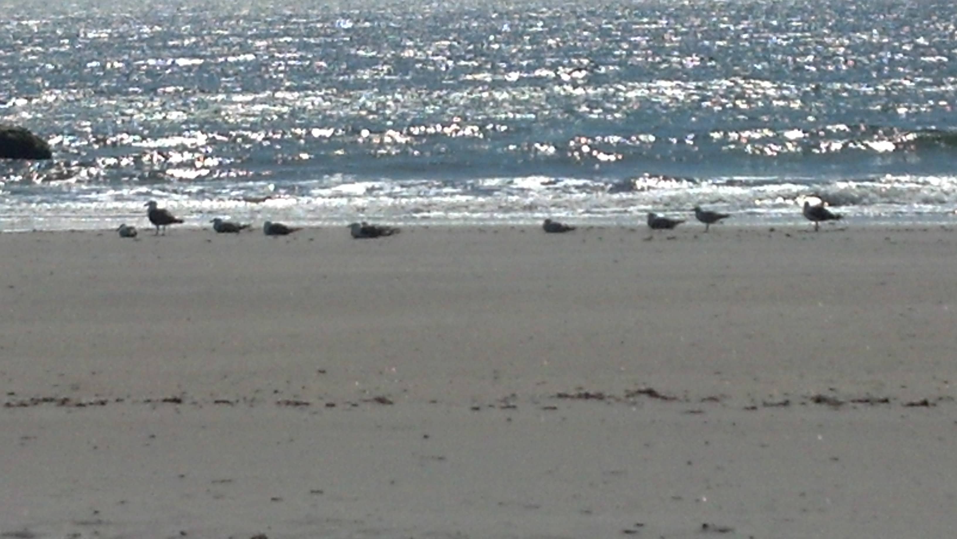 Observation Tower Views