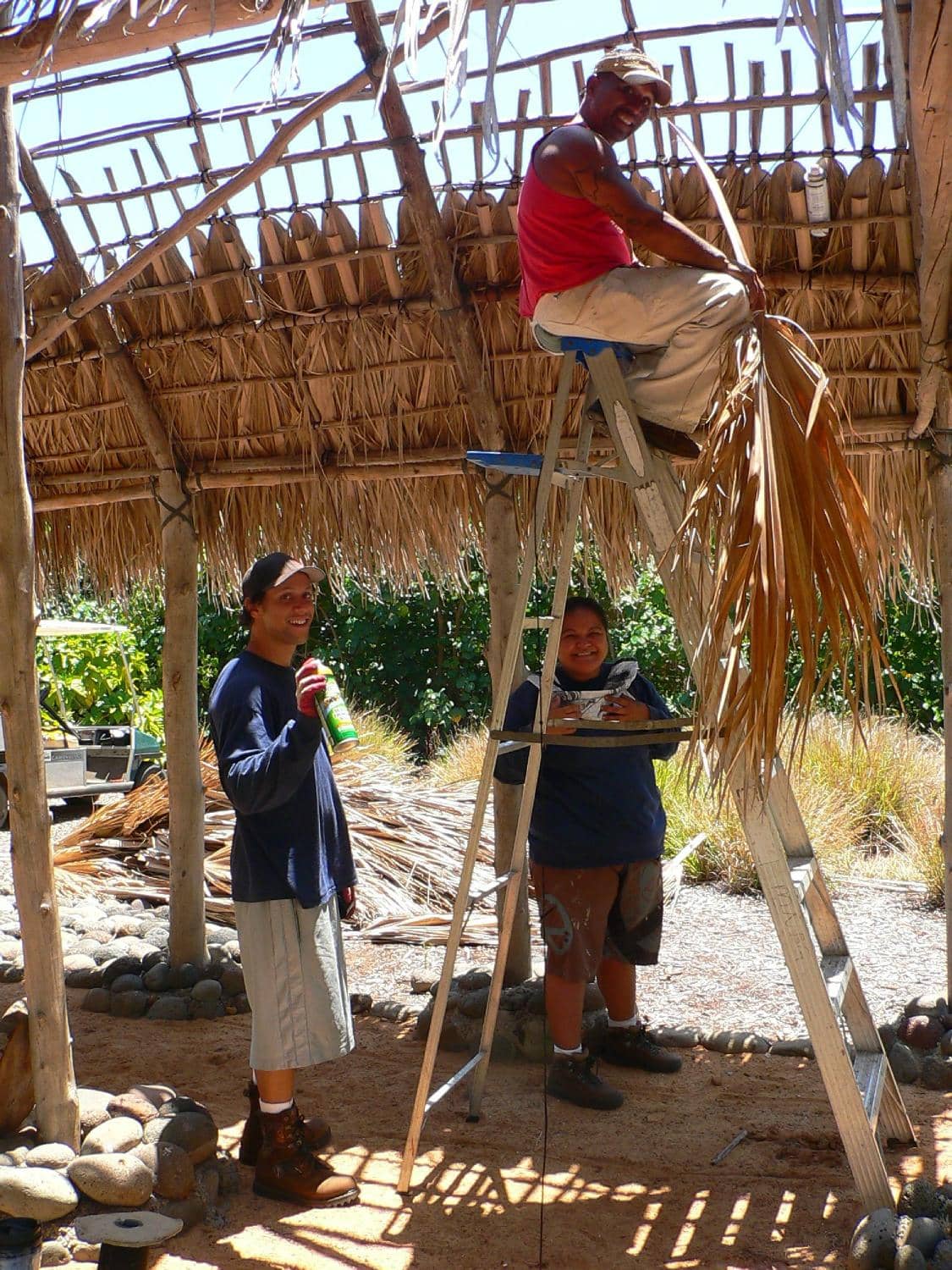 Ethnobotanical Significance