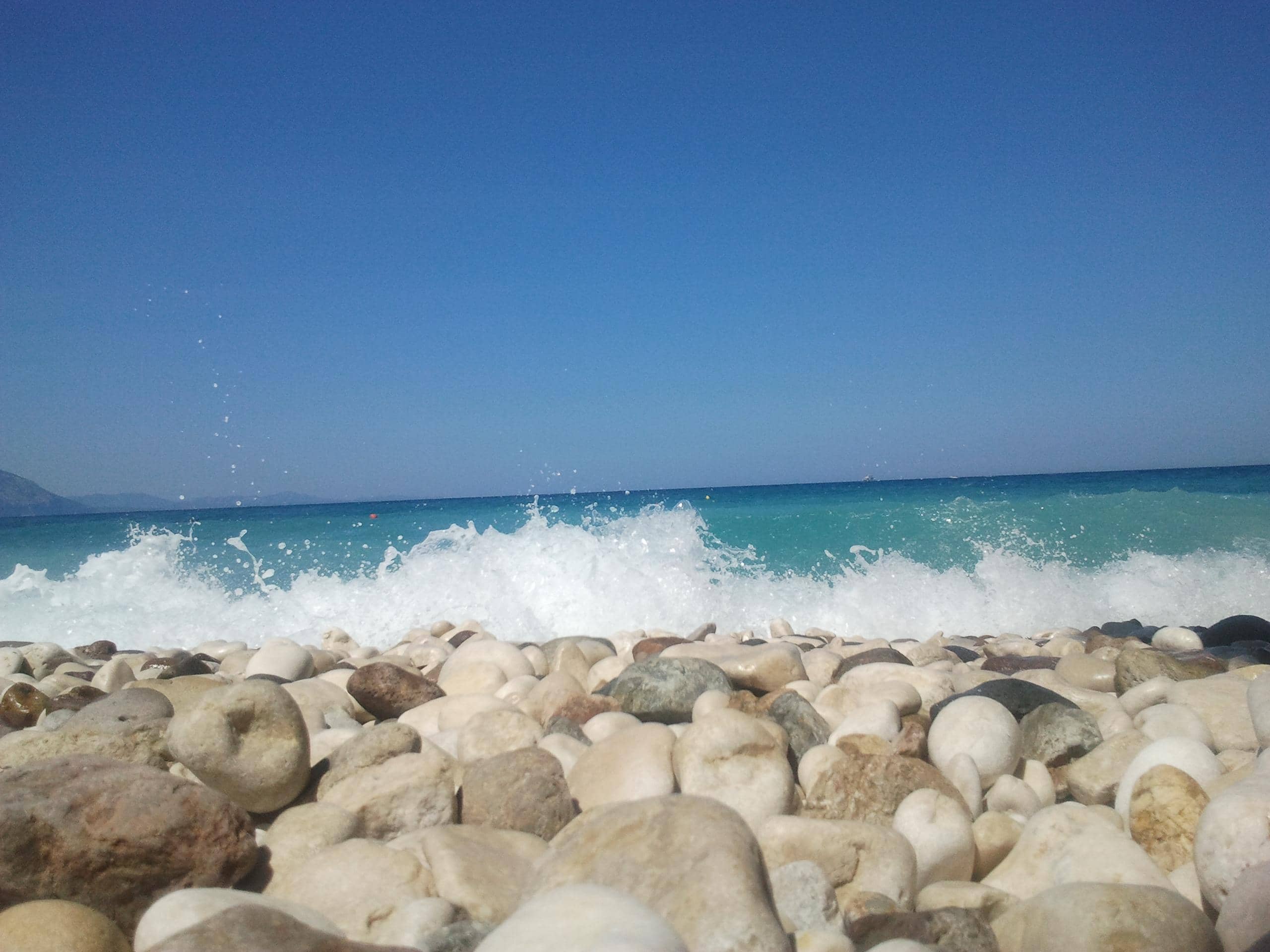 Snorkeling Opportunities