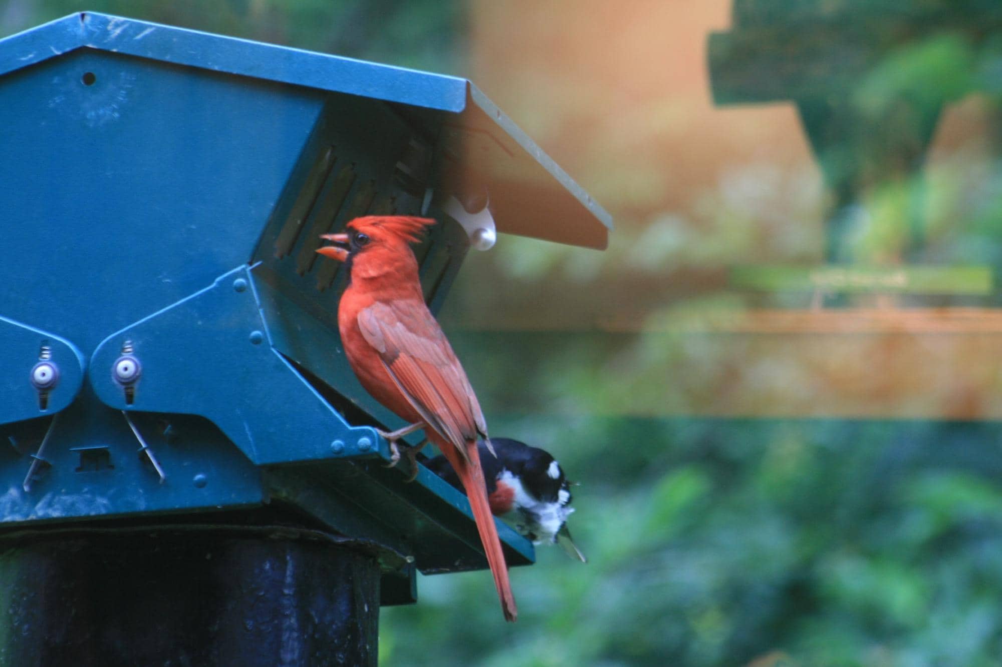 Scenic Hiking Trails