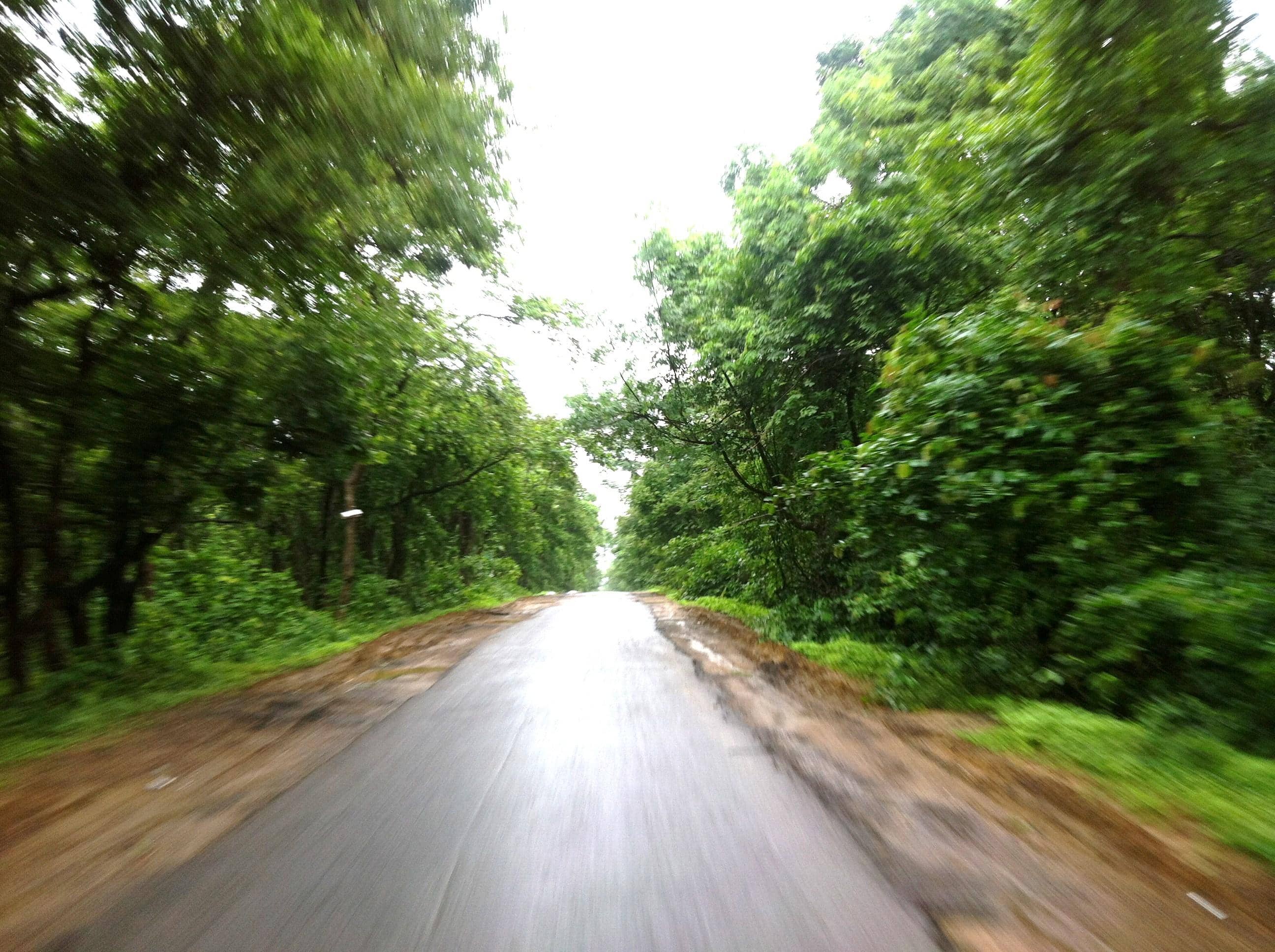 Birdwatching Paradise