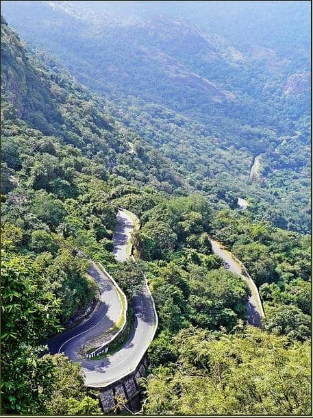 Tranquil Nature Escape