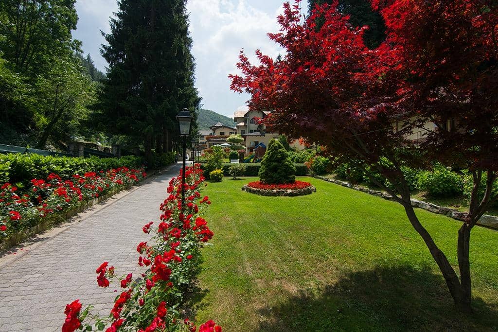 Thermal Pools & Saunas