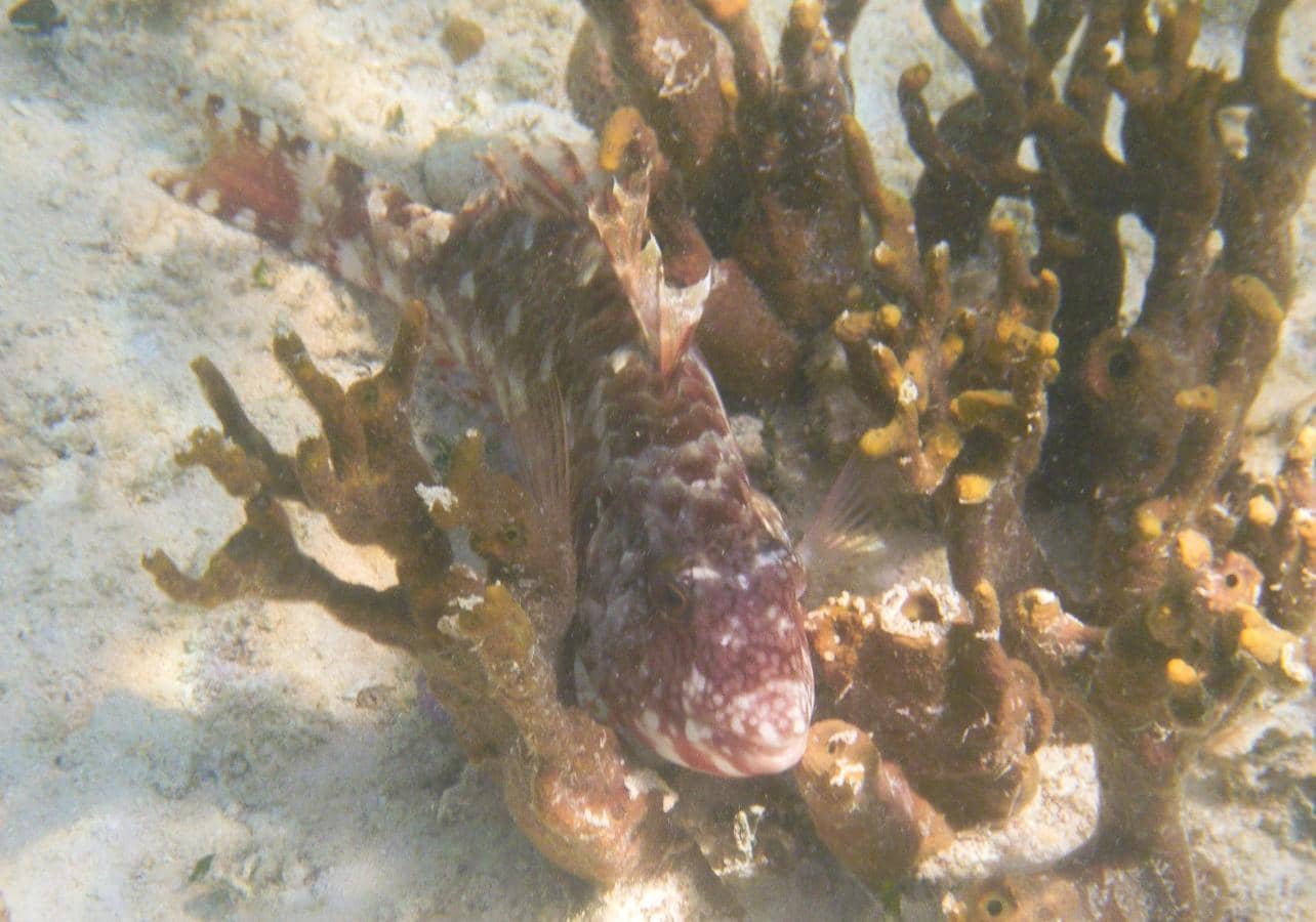 Geological Formations