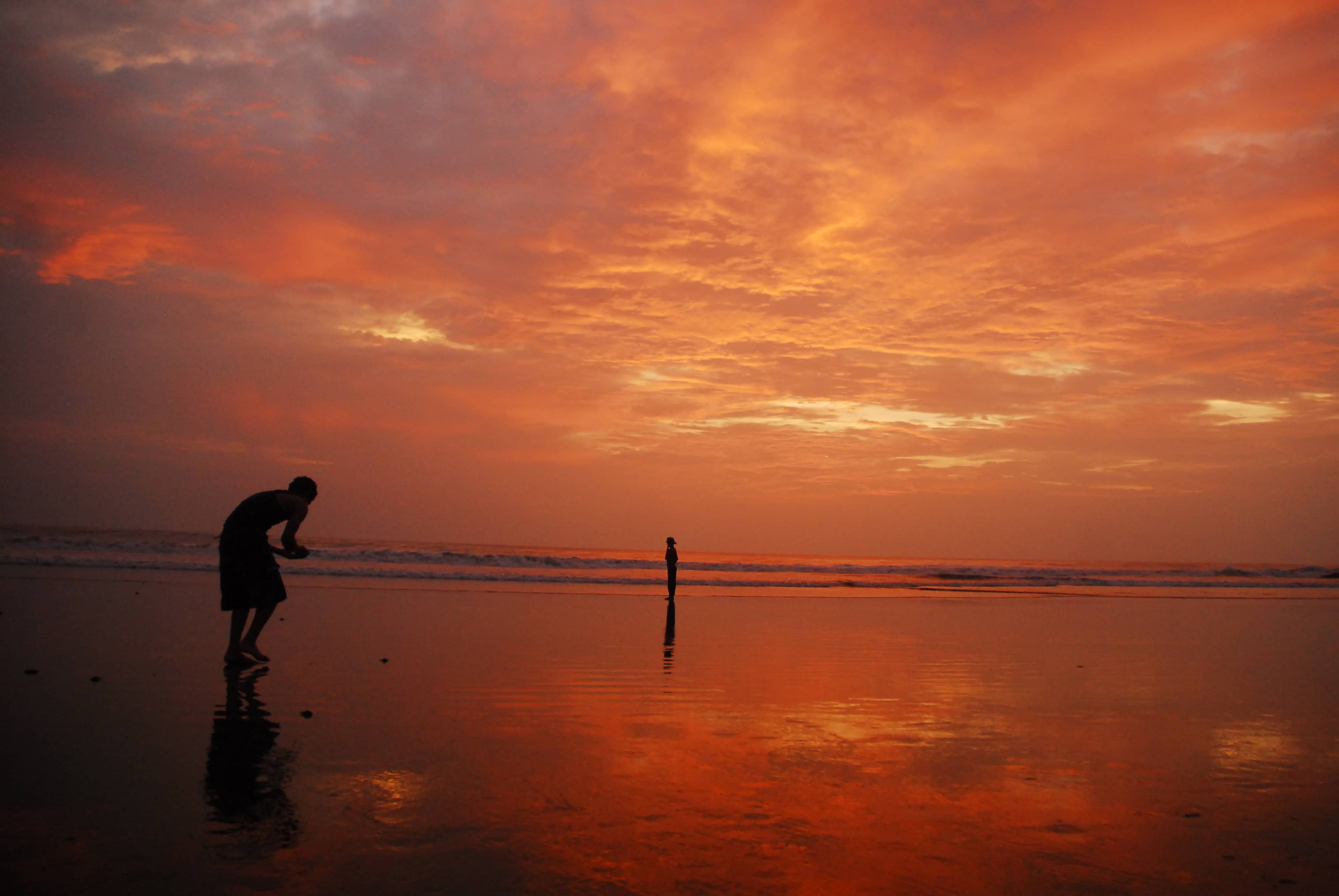 Vibrant Beachfront Dining