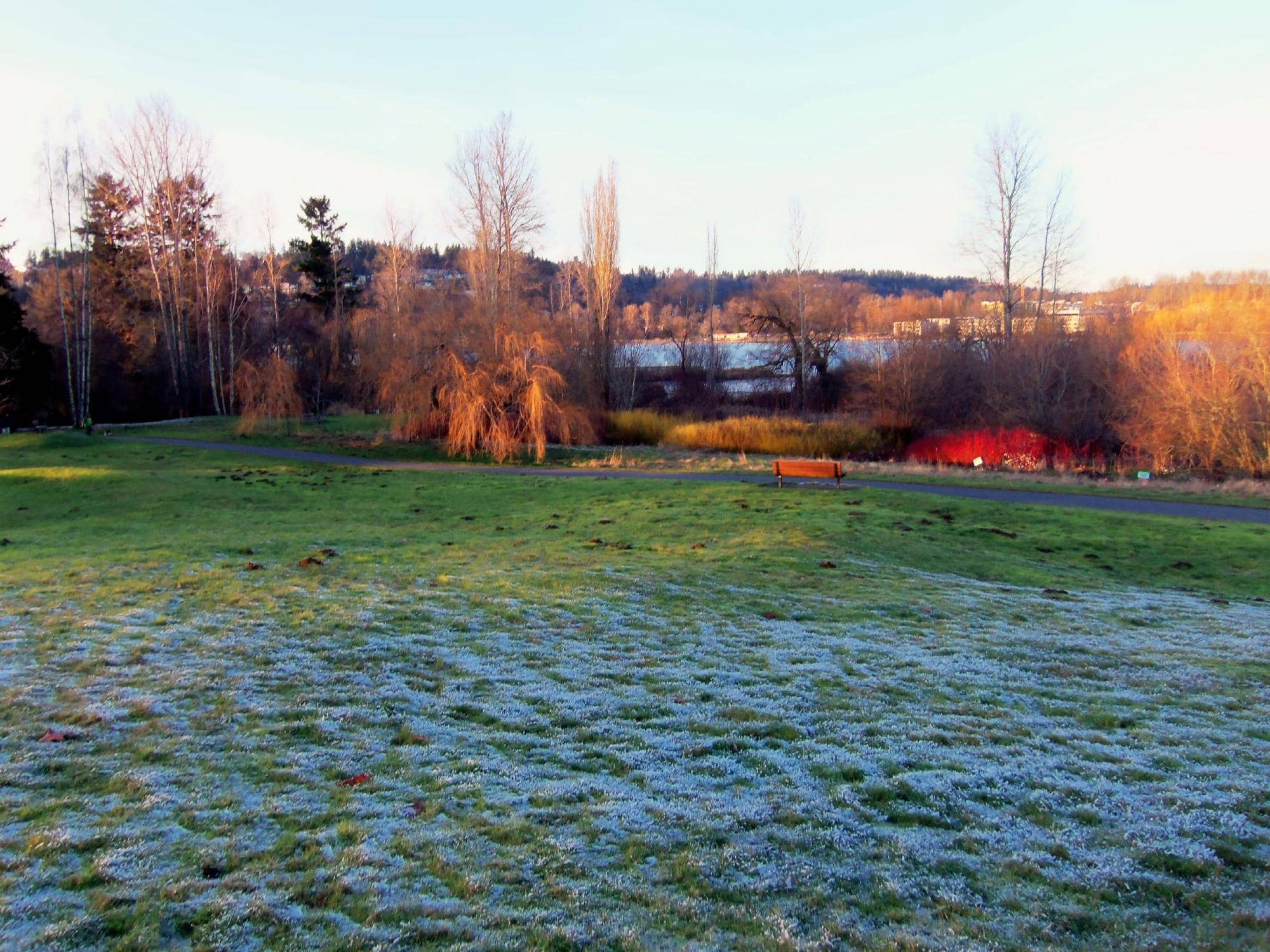 Abundant Birdwatching Opportunities