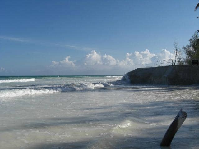 Camel Riding Adventures