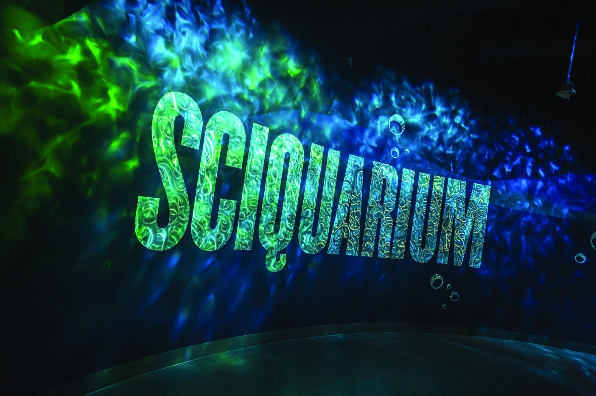 Kiwanisaurus Treehouse Adventure