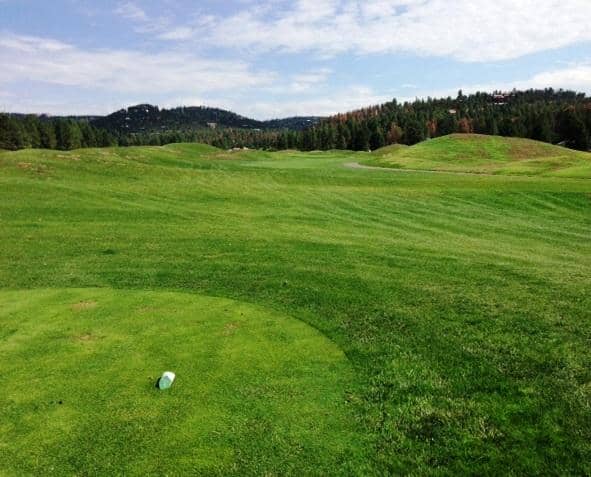 Abundant Wildlife Sightings