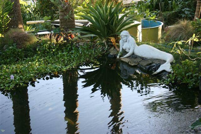 Community Garden Vibes