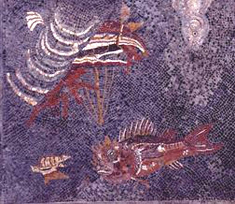 Mosaic of the Fish