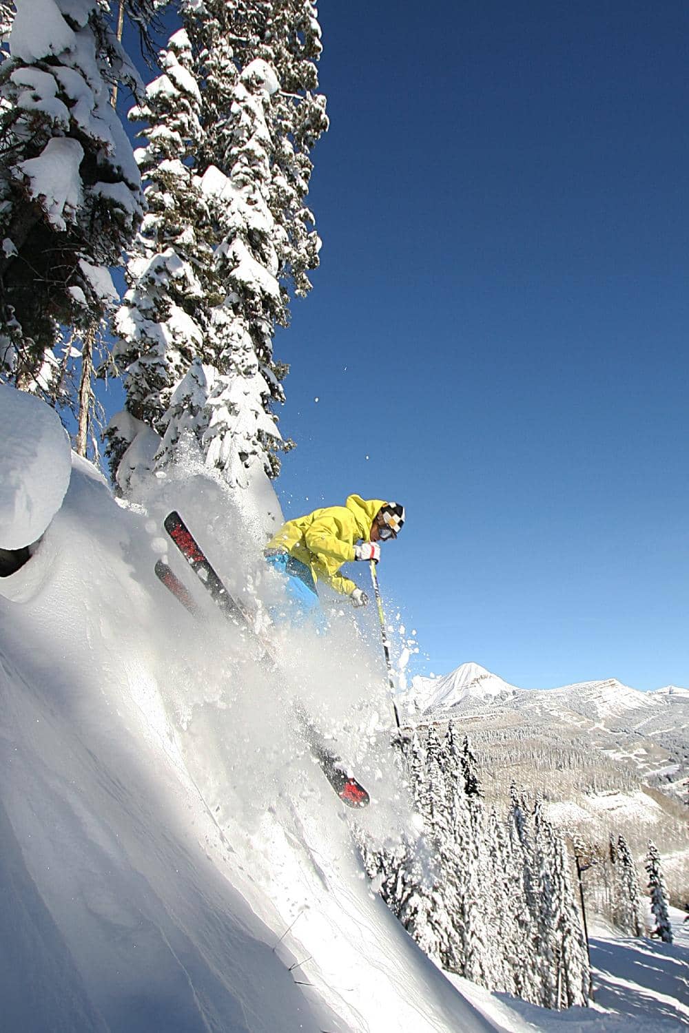 Scenic Chairlift Rides